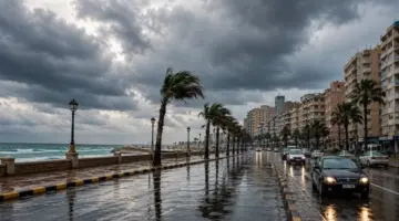 حالة الطقس غدًا السبت في مصر وشبورة وأمطار رعدية ورياح نشطة